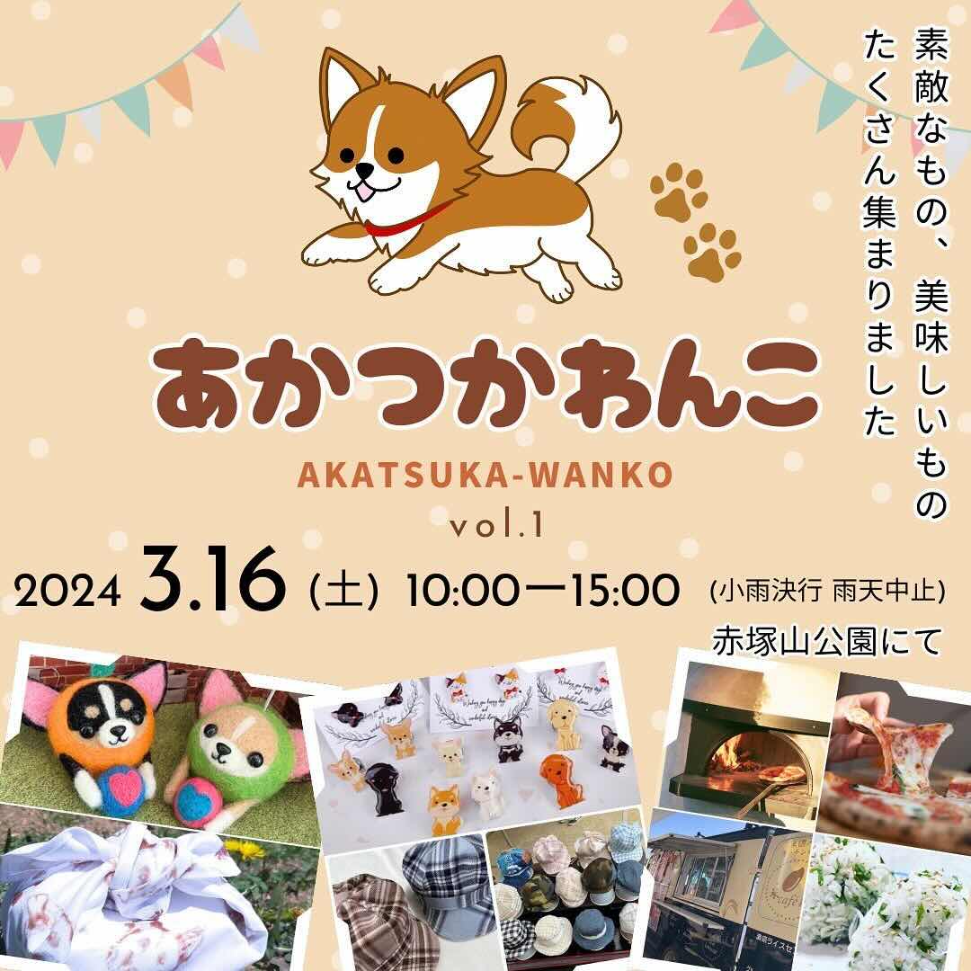 あかつかわんこvol.1の画像