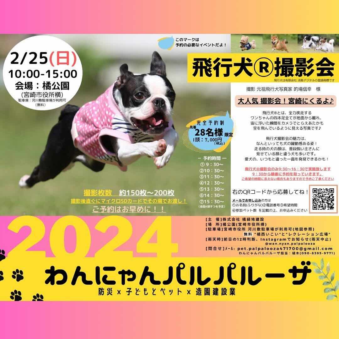 わんにゃんパルパーザの画像