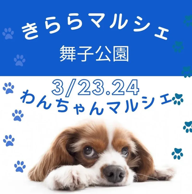 きららマルシェ with わんちゃんマルシェ 舞子公園の画像