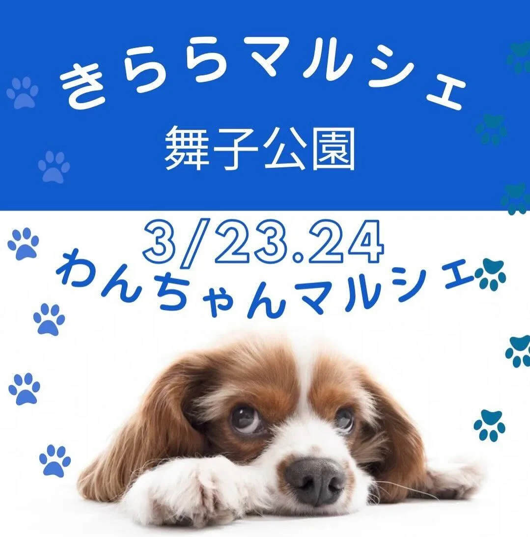 きららマルシェ with わんちゃんマルシェ 舞子公園の画像