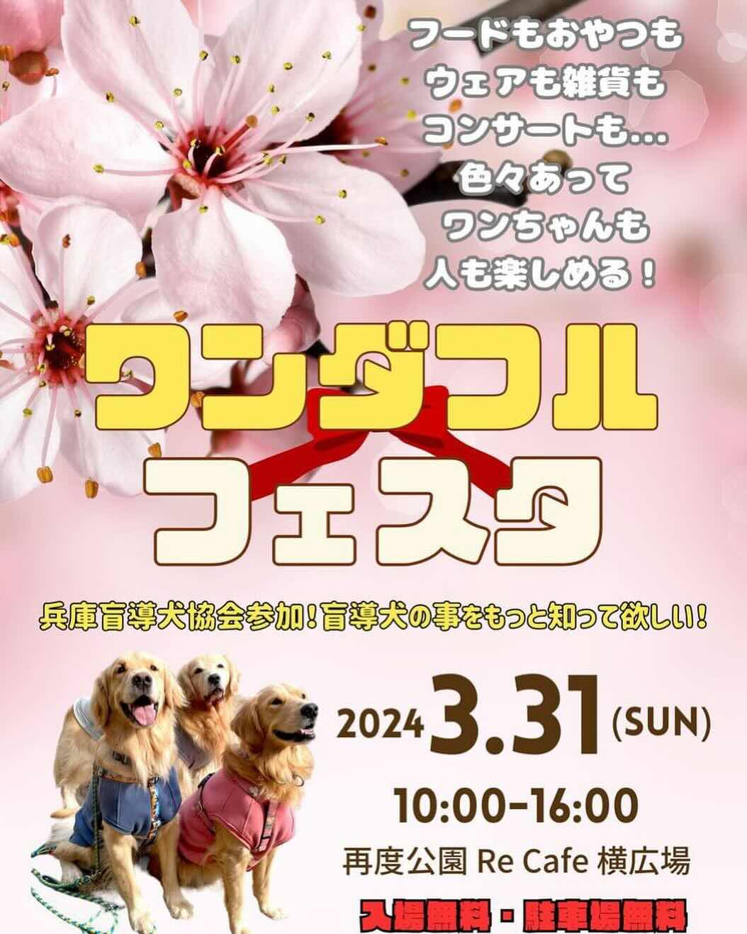 ワンダフルフェスタの画像