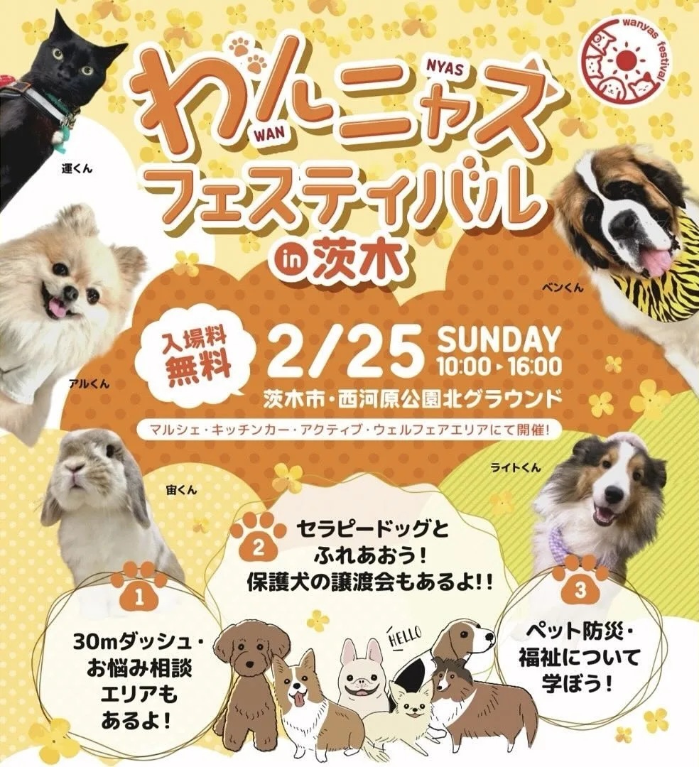 わんニャスフェスティバル in 茨木の画像