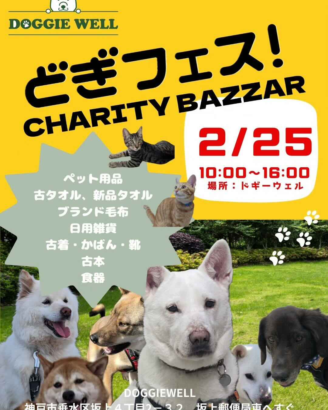 どぎフェスの画像