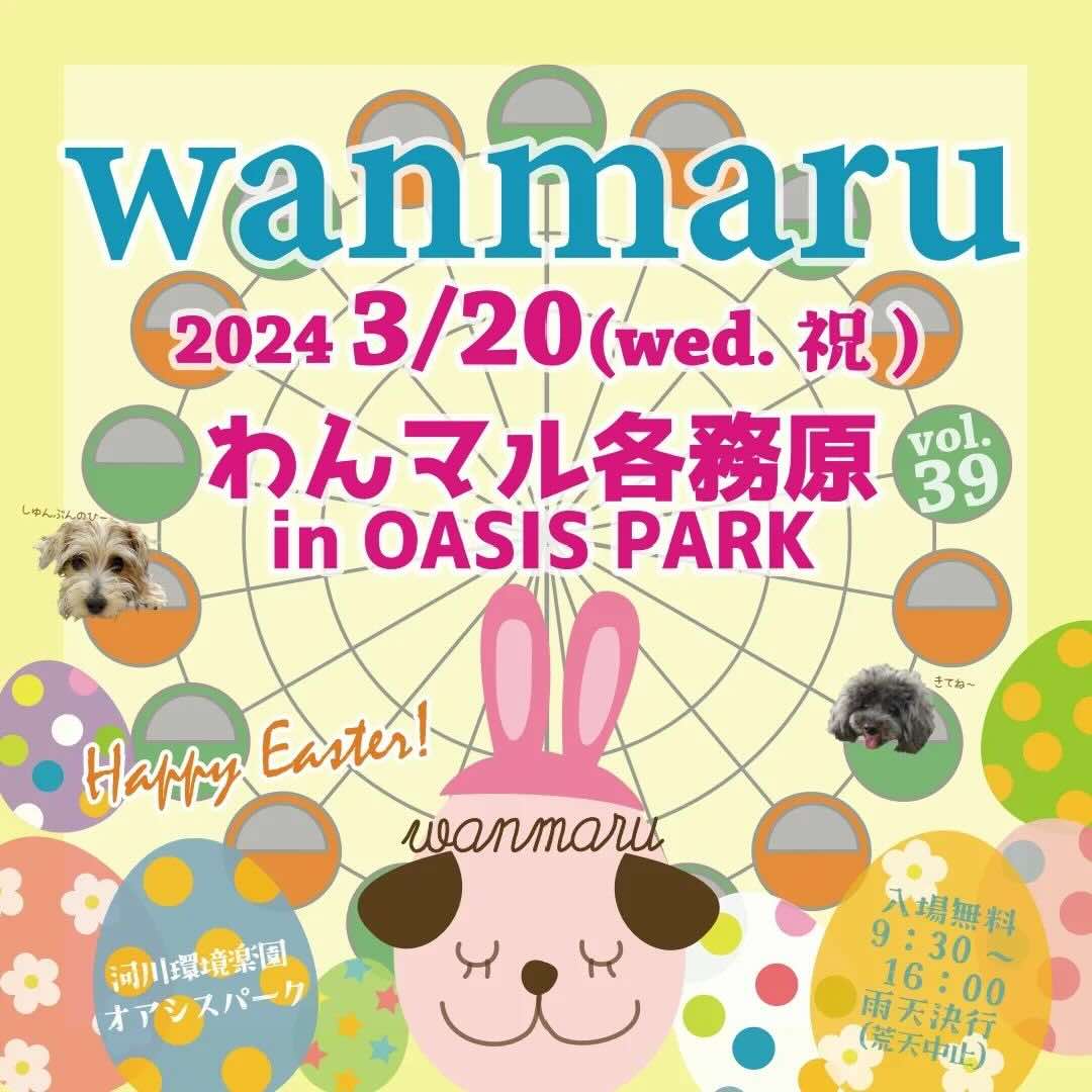 第39回 わんマル各務原 in OASIS PARKの画像