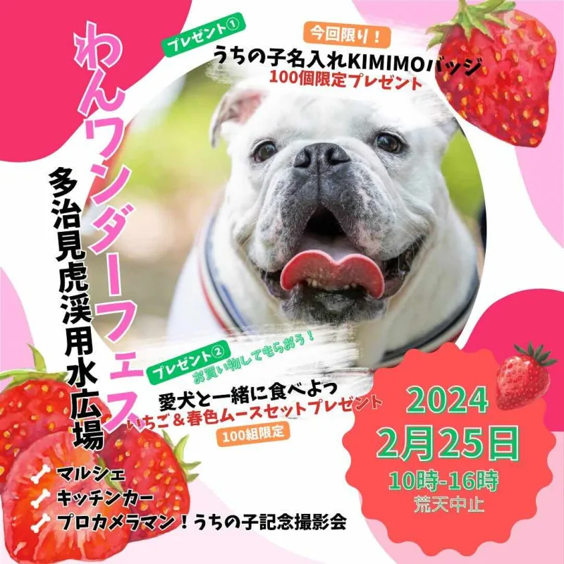 わんワンダーフェス多治見駅前虎渓用水広場の画像