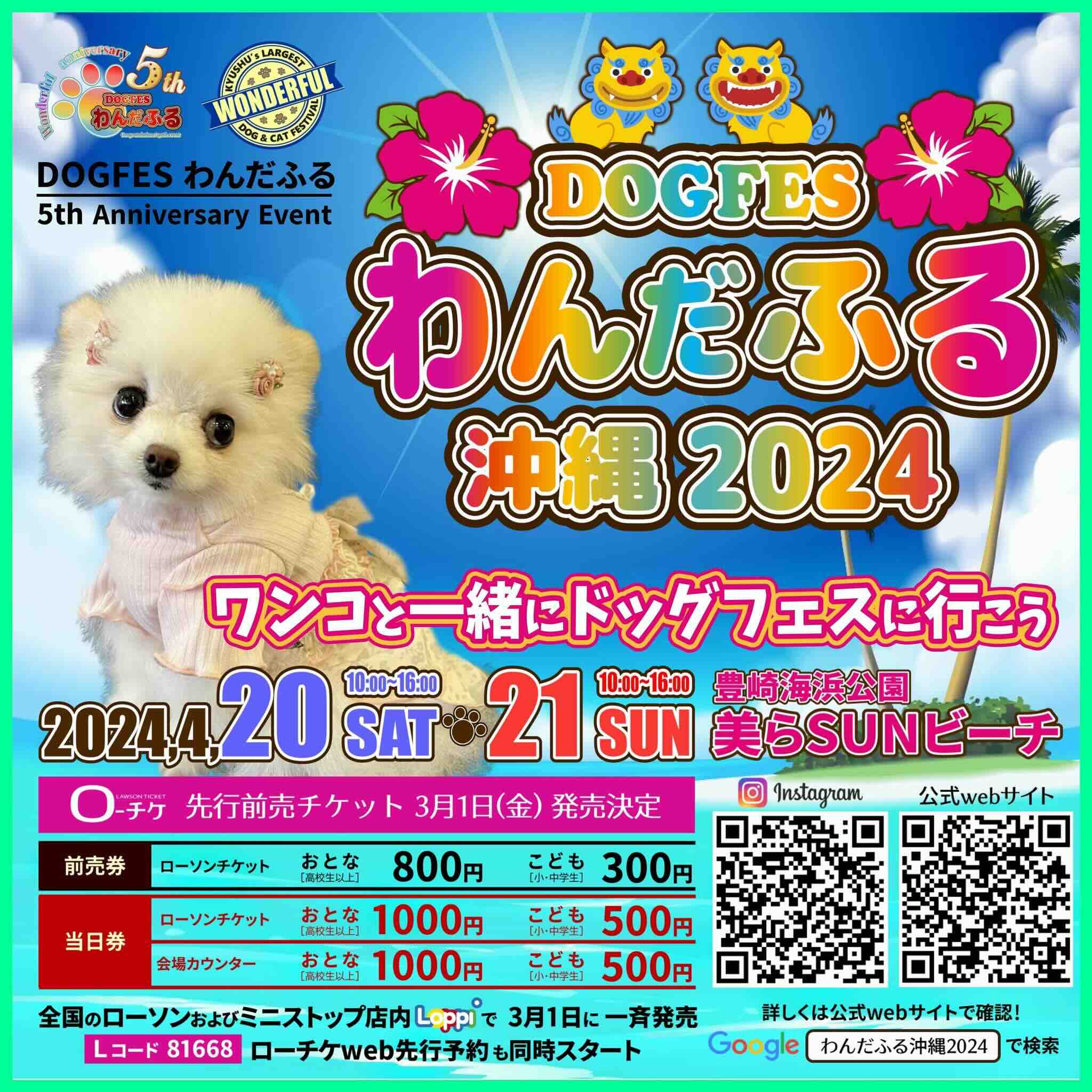 わんだふる沖縄2024の画像