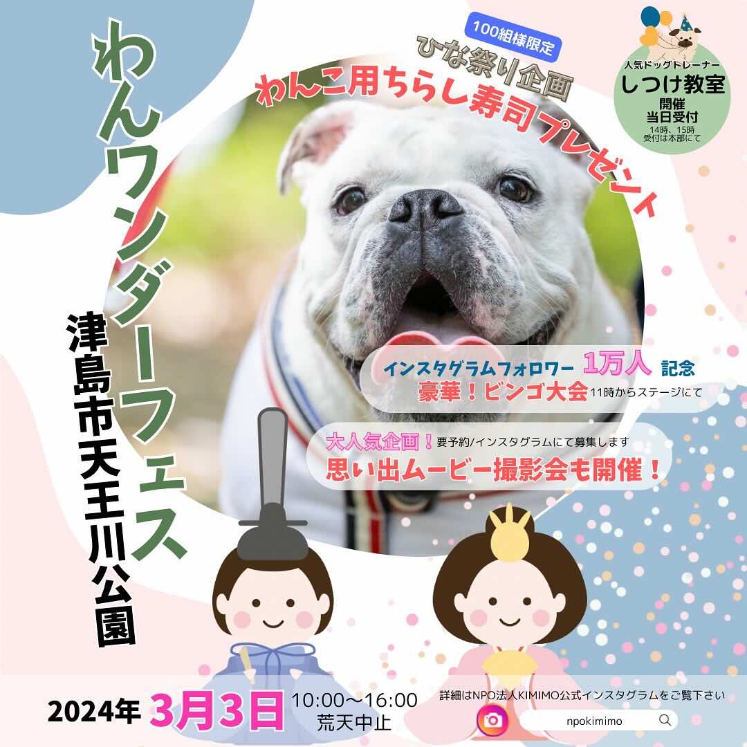 わんワンダーフェス津島天王川公園の画像
