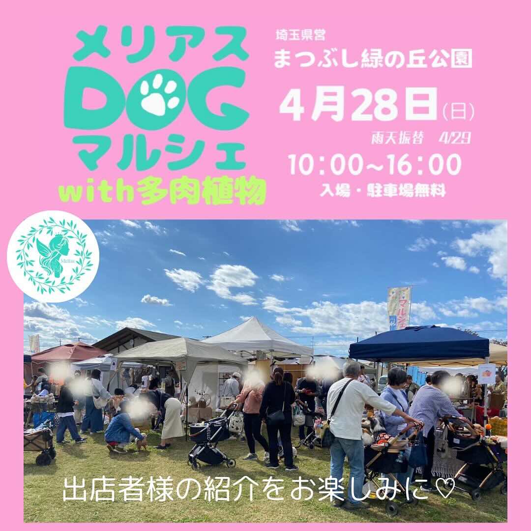 メリアスDOGマルシェ with 多肉植物の画像