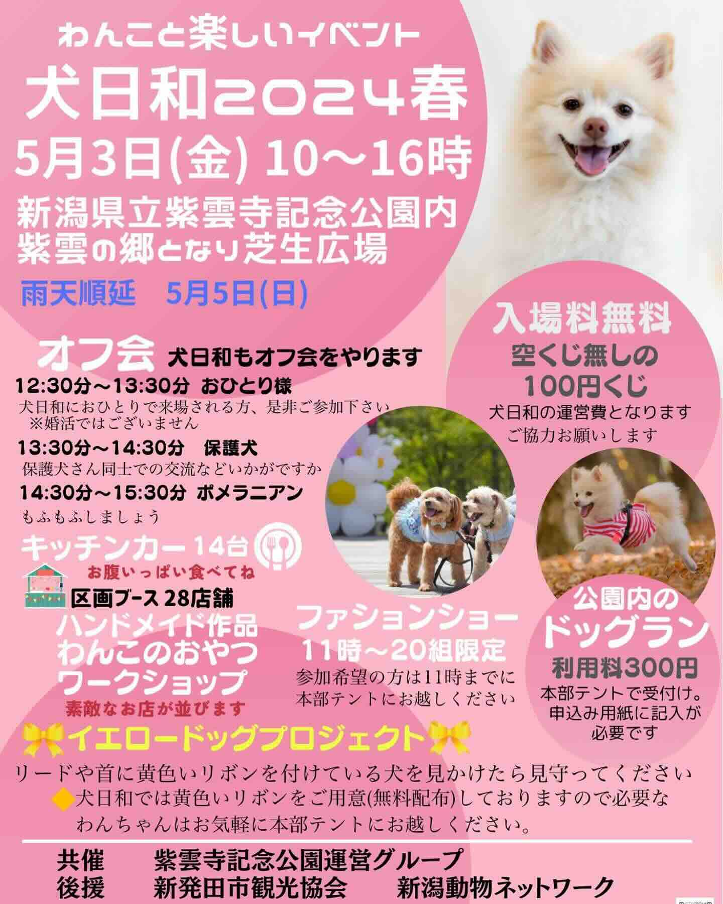 犬日和2024春の画像