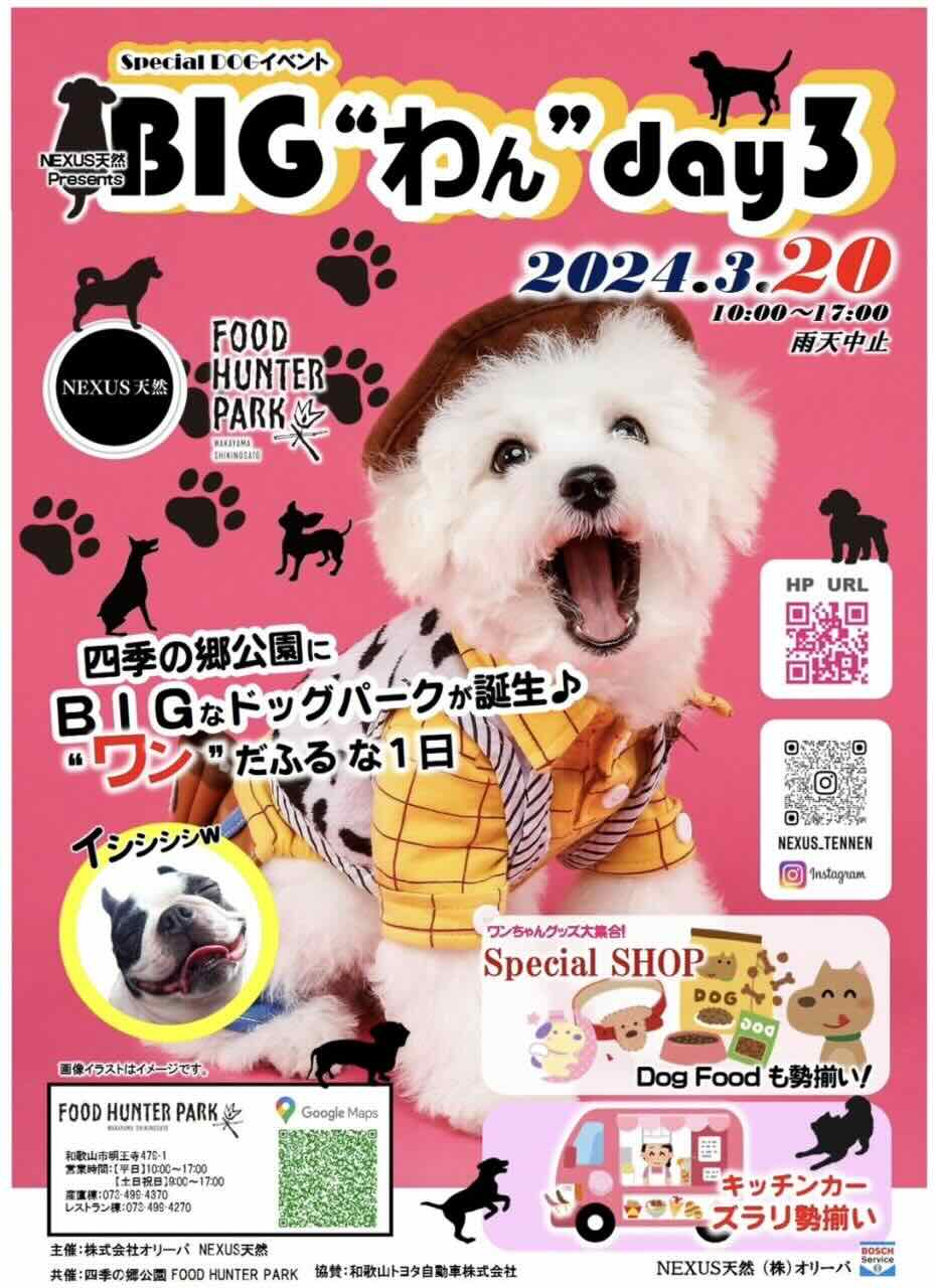 BIGわんday3の画像