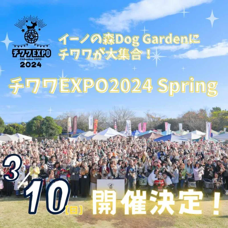 チワワEXPO 2024 Spring – Chihuahua EXPO 2024 Spring–の画像