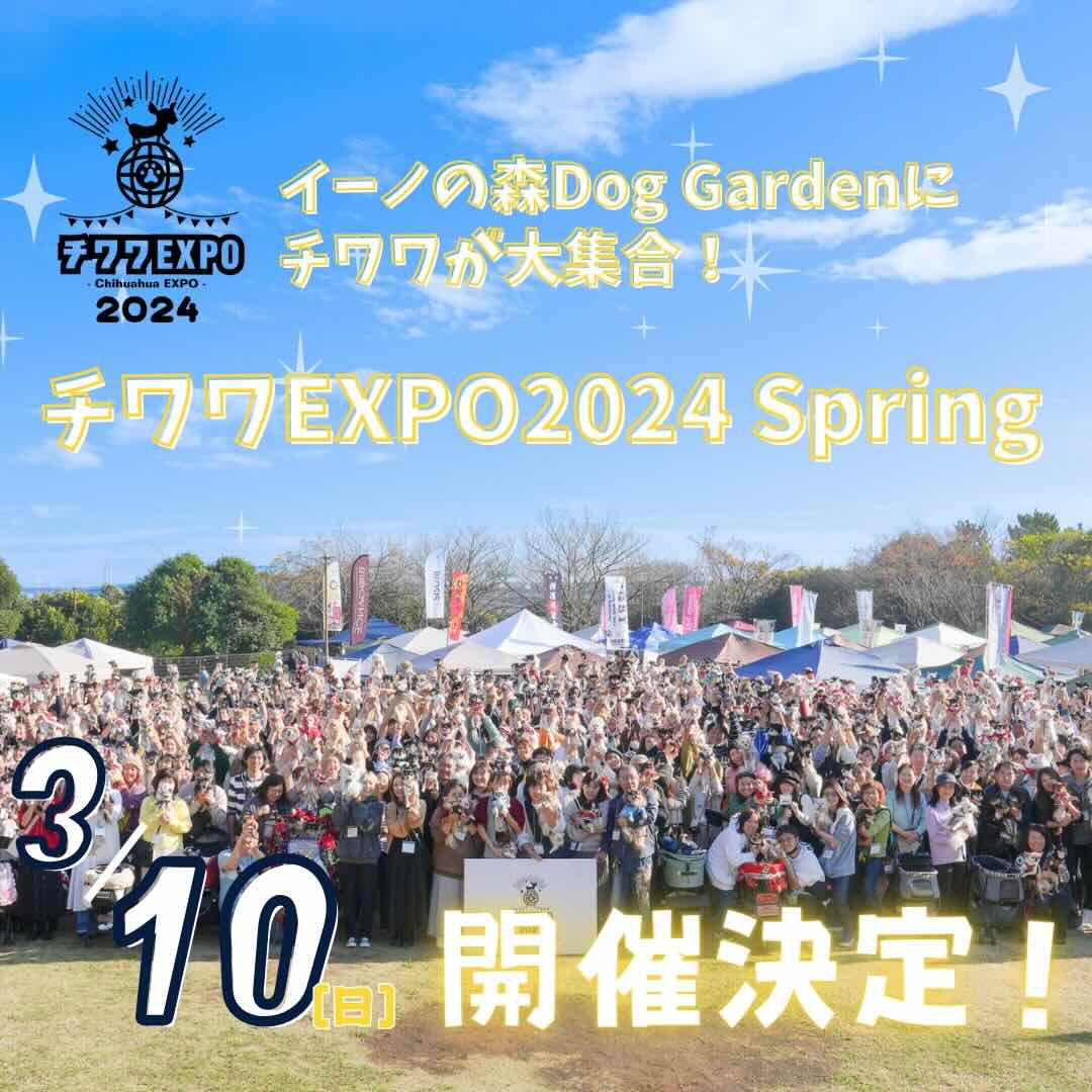 チワワEXPO 2024 Spring – Chihuahua EXPO 2024 Spring–の画像