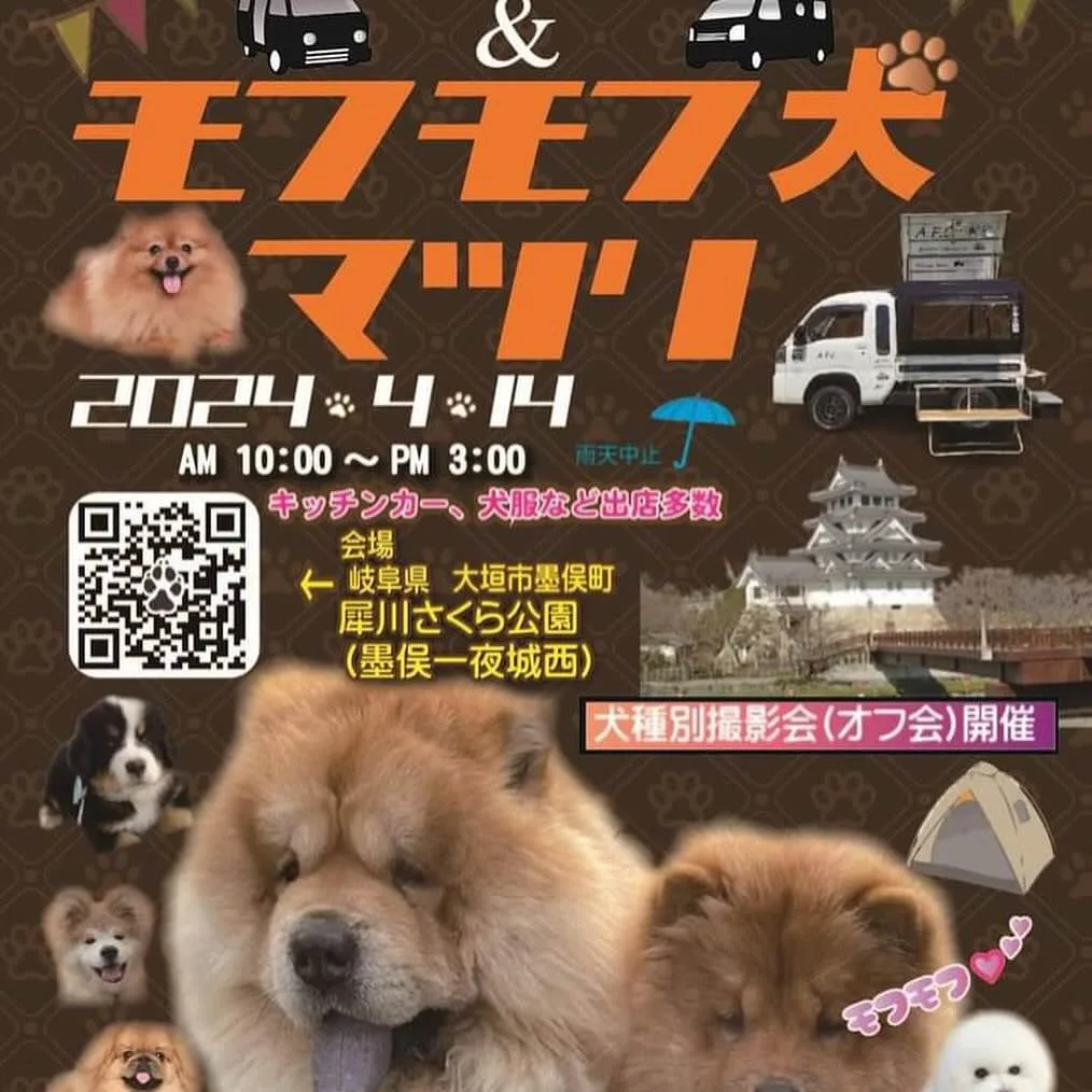 第2回もふもふ犬まつりの画像