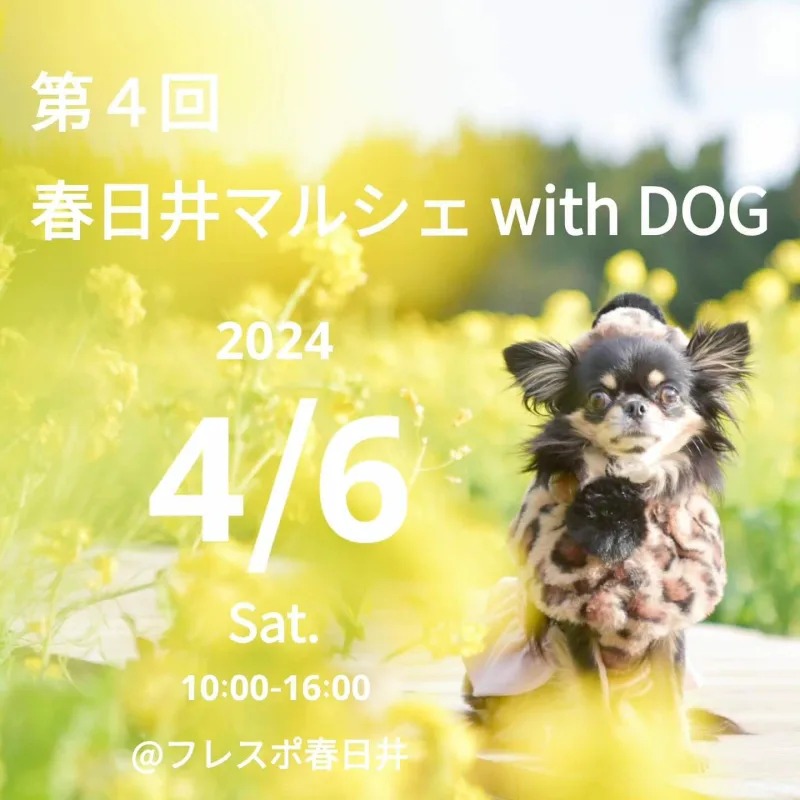 第4回春日井マルシェ with DOGの画像