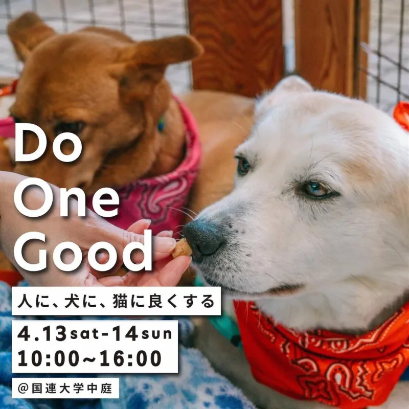 Do One Good -人に、犬に、猫に良くする- vol.13の画像