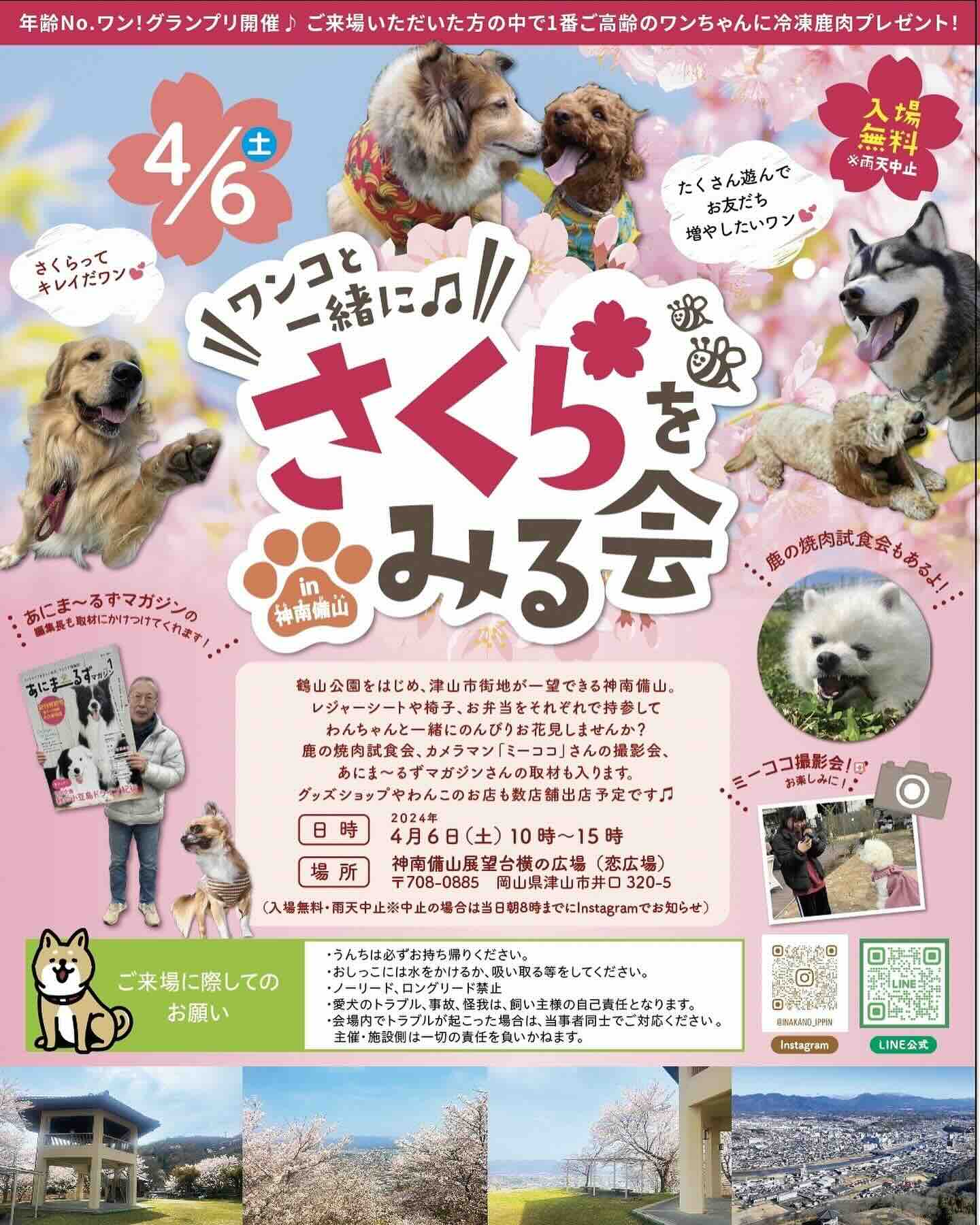 ワンコと一緒にさくらをみる会の画像