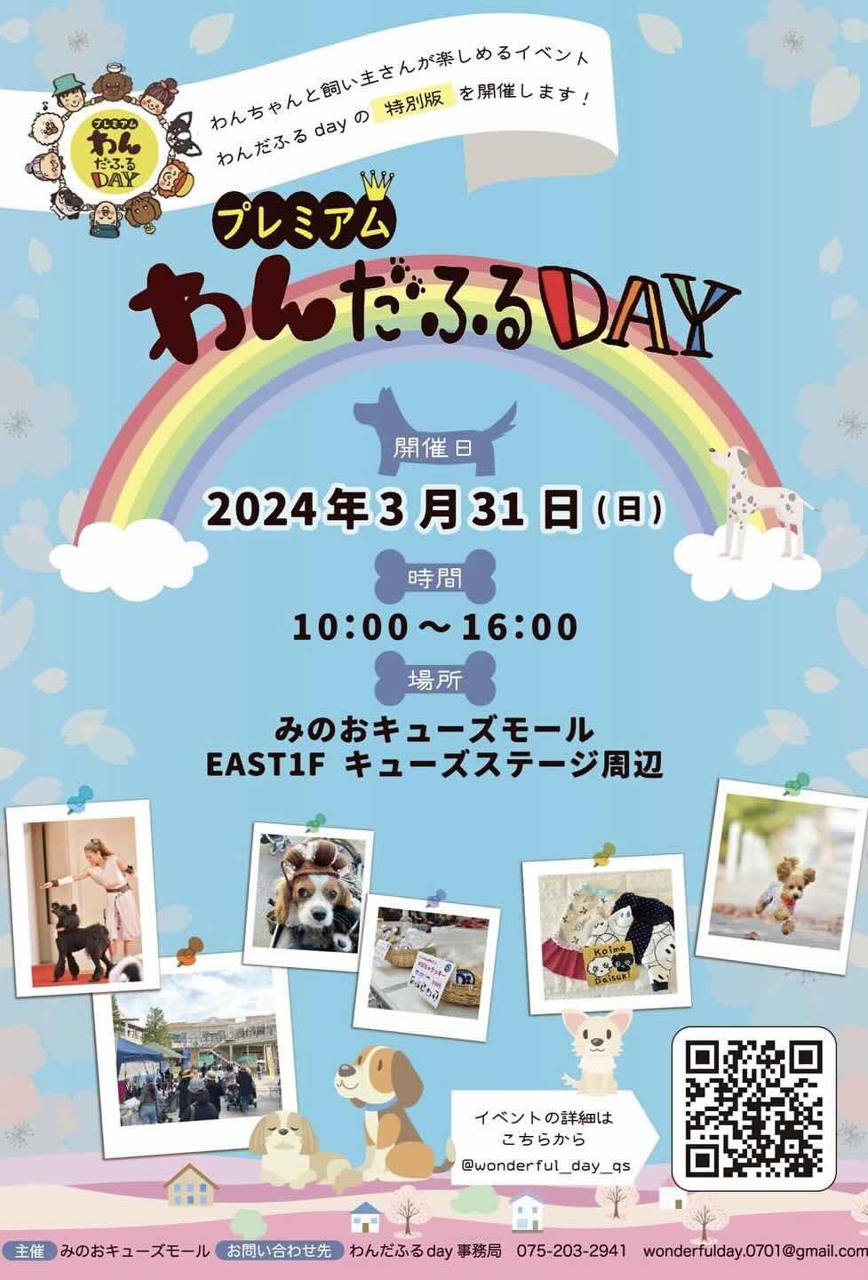 プレミアムわんだふるdayの画像