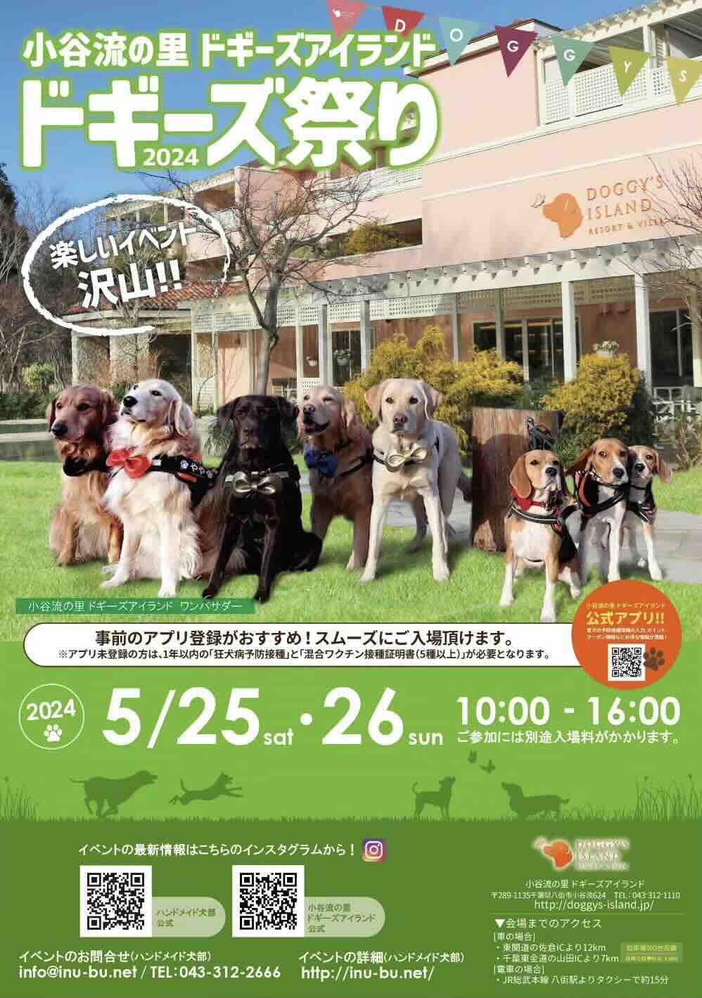 ドギーズ祭り2024の画像