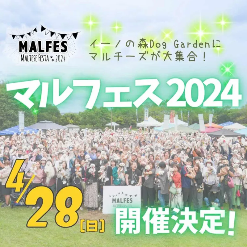 マルフェス 2024 – Maltese Festa 2024–の画像