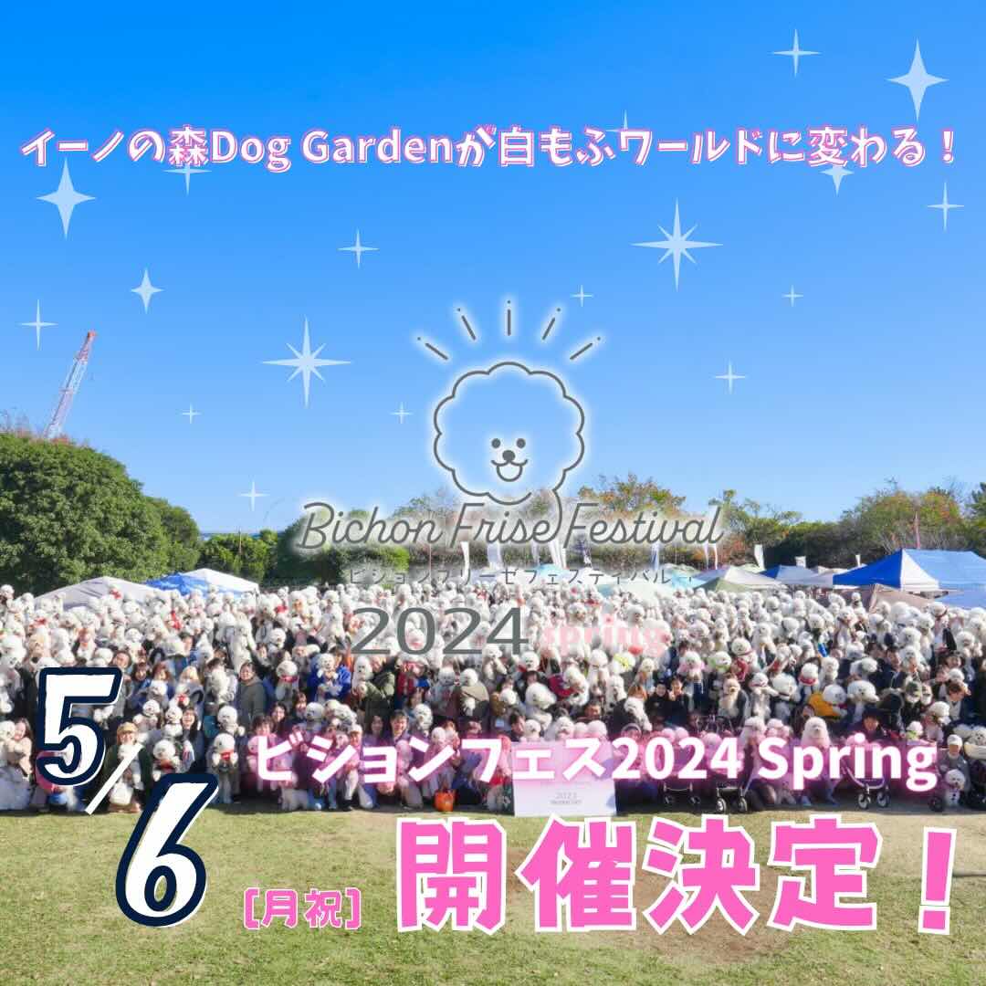 ビションフリーゼフェスティバル2024 Spring - Bichon Frise Festival2024 Spring-の画像