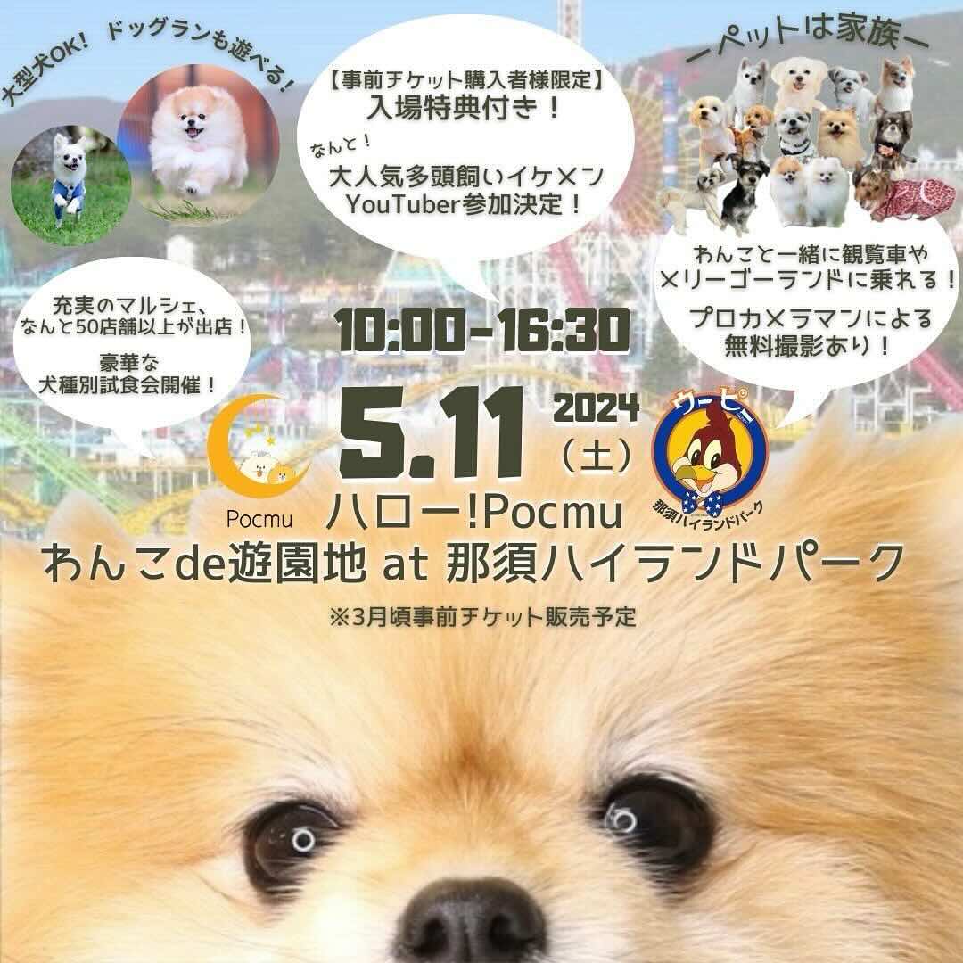 ハロー!Pocmu 2024わんこde遊園地 at 那須ハイランドパークの画像
