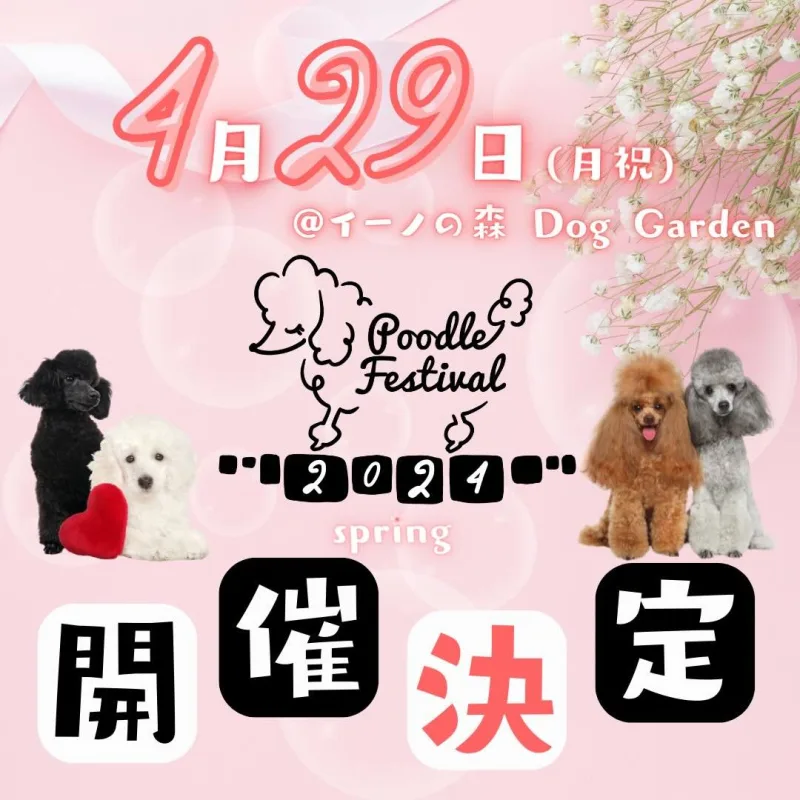 プードルフェスティバル2024 Springの画像
