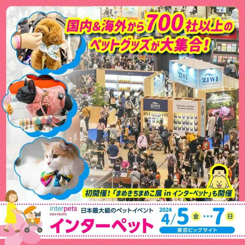 第13回インターペットの画像