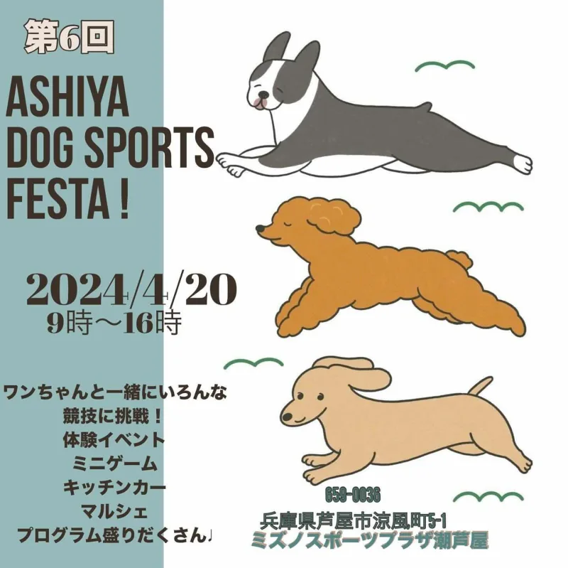 第6回 ASHIYA DOG SPORTS FESTA（アシヤドッグスポーツフェスタ）の画像