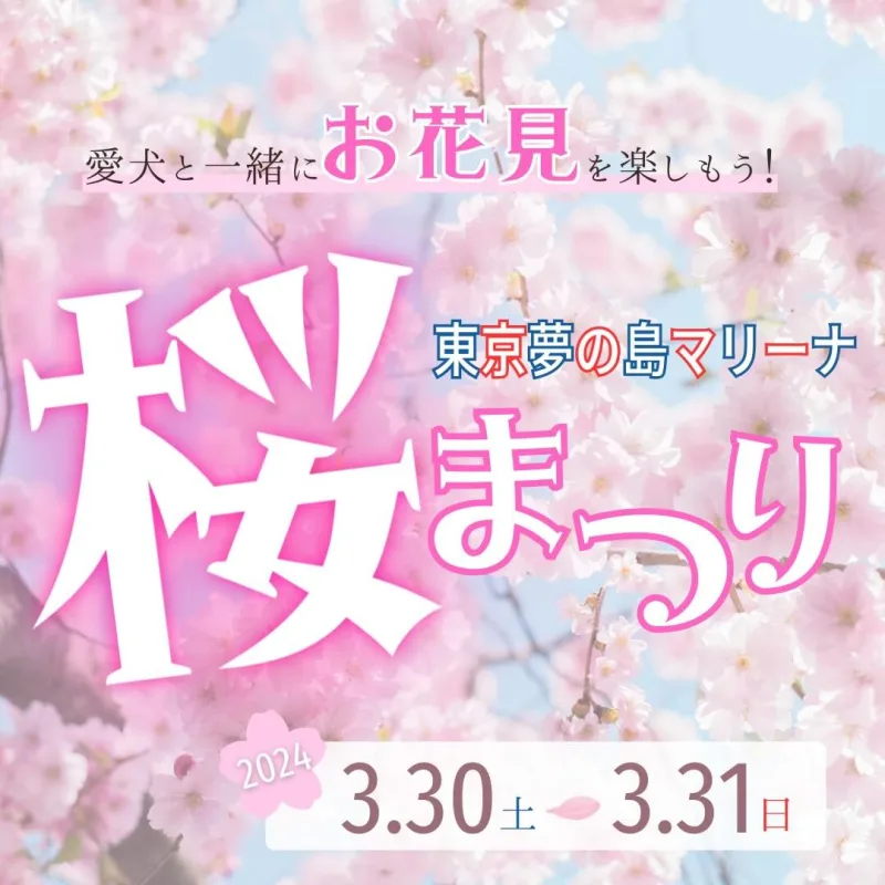 東京夢の島マリーナ 桜まつりの画像
