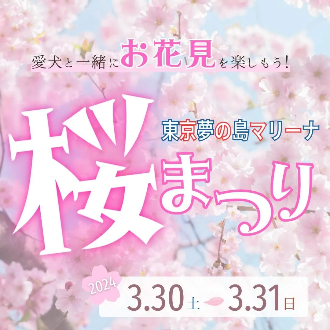 東京夢の島マリーナ 桜まつりの画像