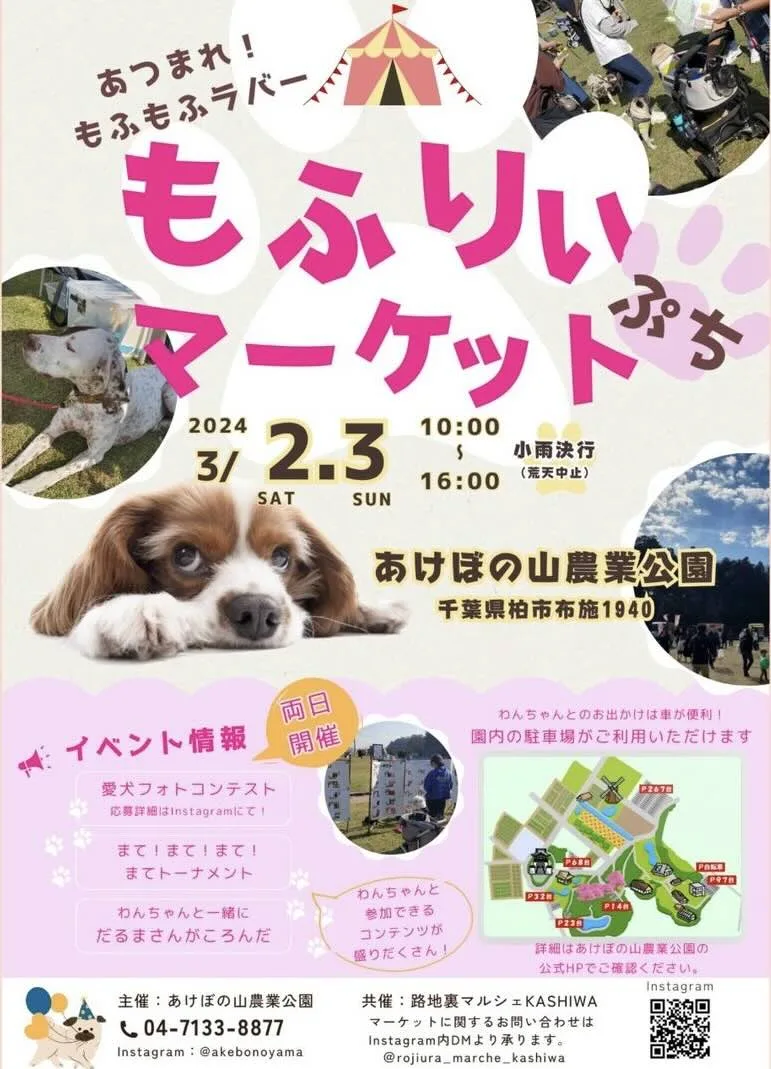 もふりぃまーけっと-ぷち-の画像