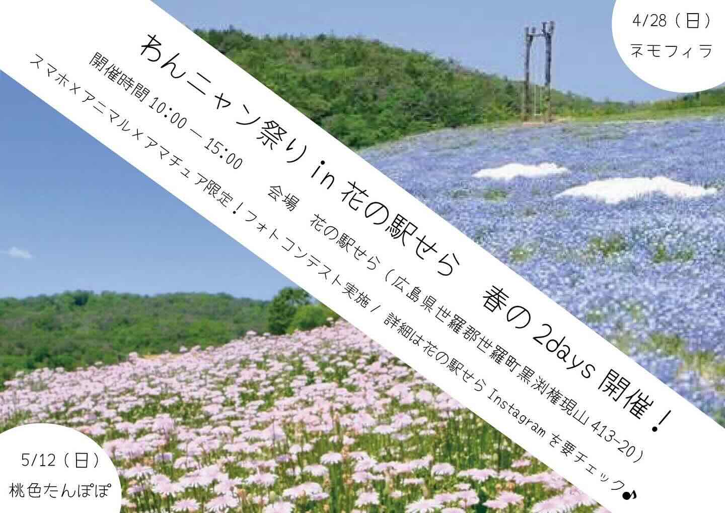 わんニャン祭り in 花の駅せらの画像