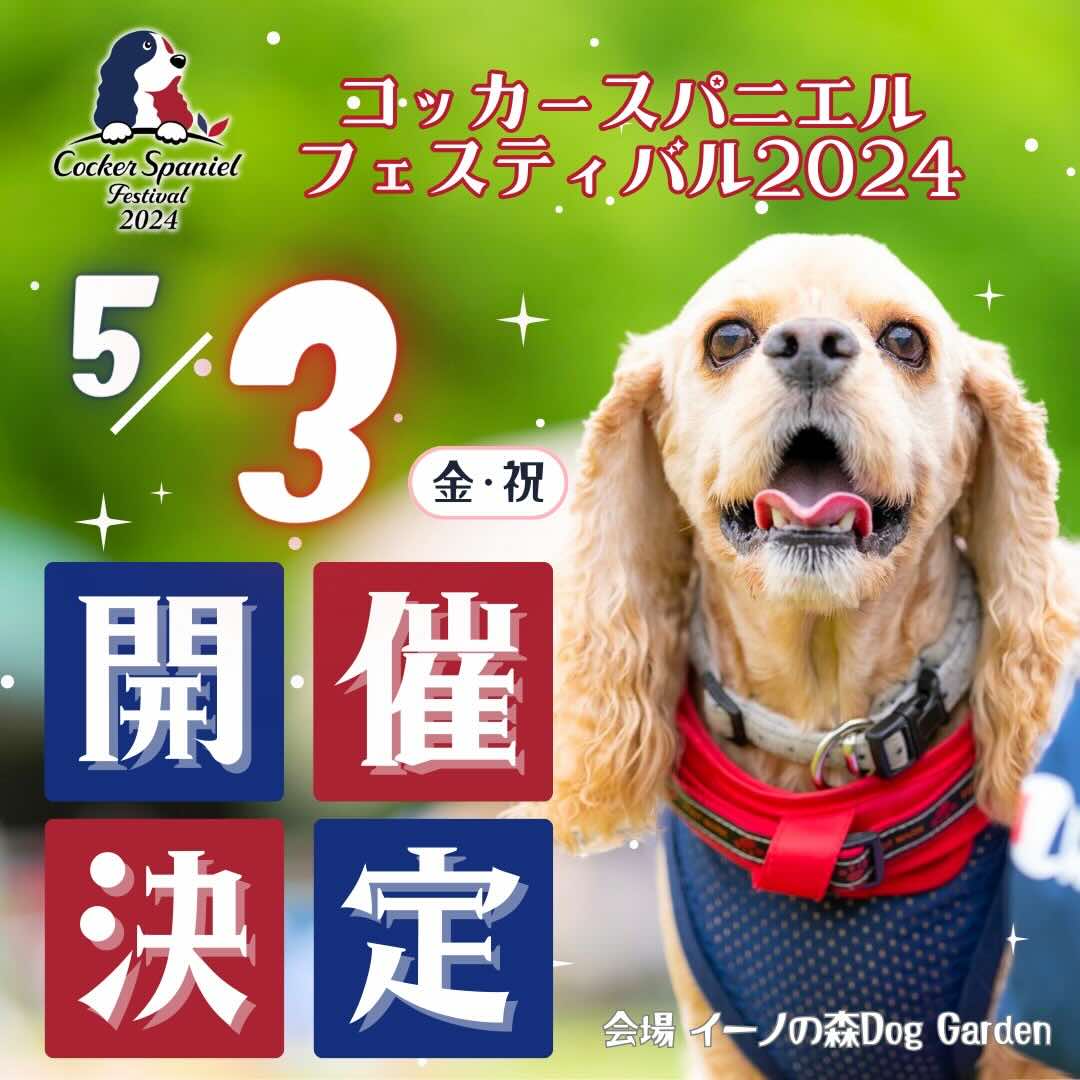 コッカースパニエルフェスティバル – Cocker Spaniel Festival 2024 –の画像