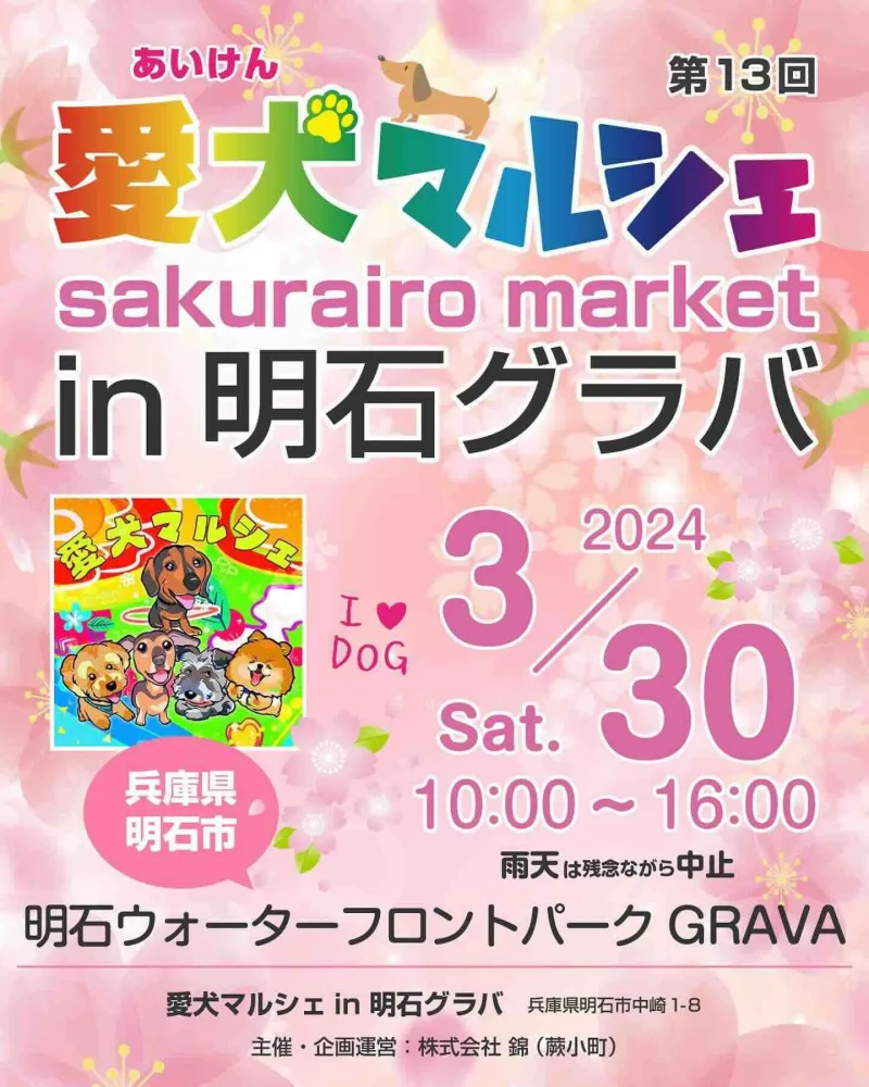 第13回 愛犬マルシェ in 明石グラバの画像