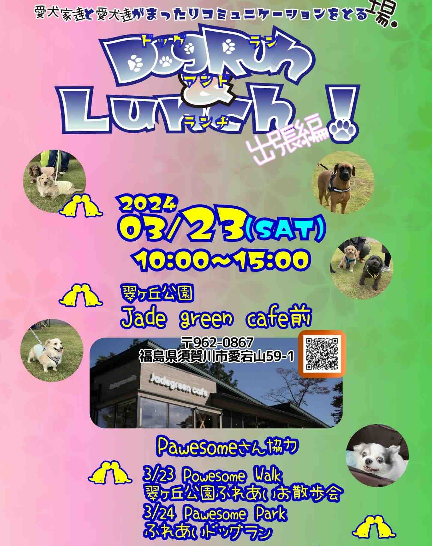 Dog Run & Lunch ! 出張編の画像