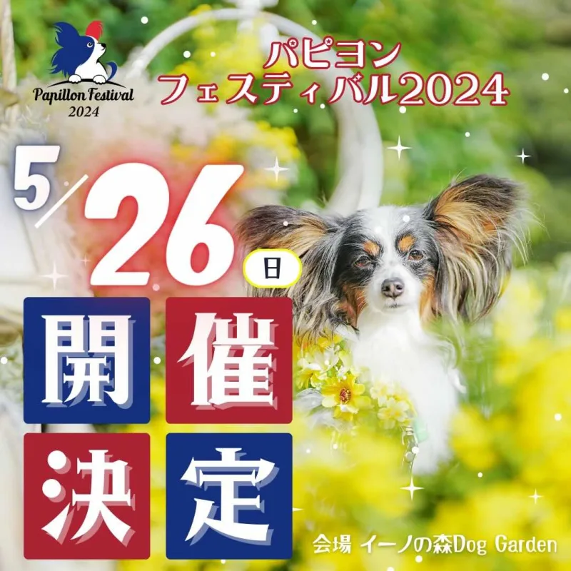 パピヨンフェスティバル – Papillon Festival 2024 –の画像