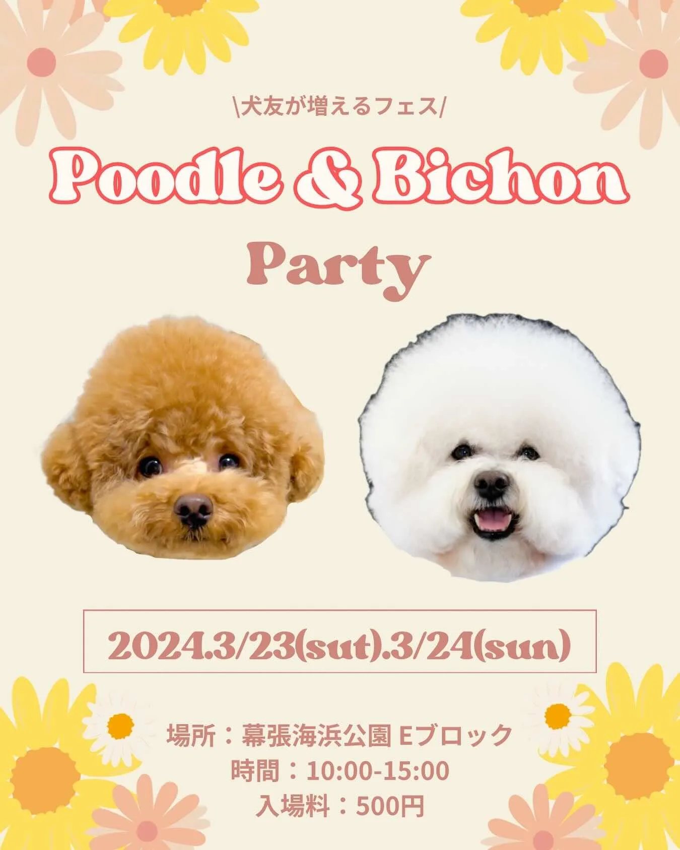 THE DOG PARTY -プードル&ビション-の画像