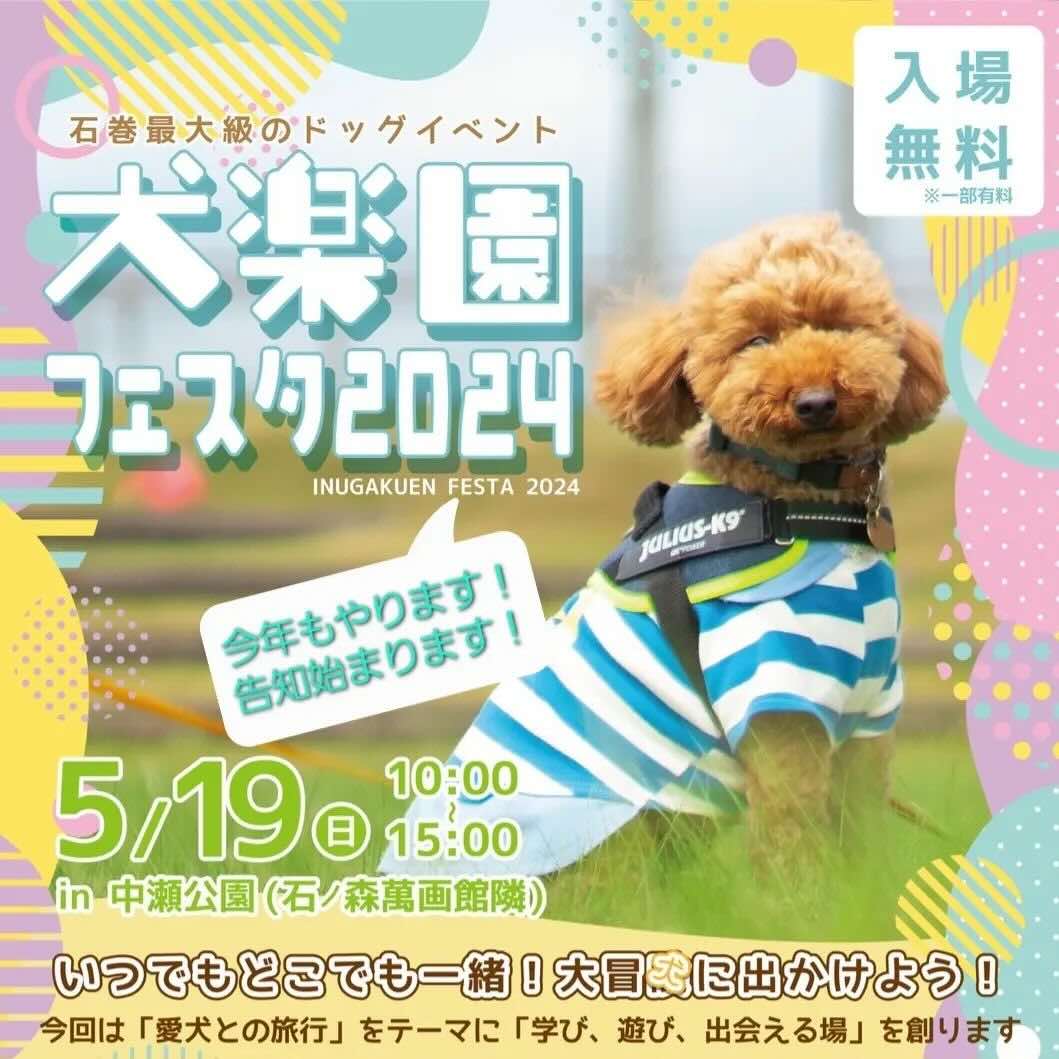 犬楽園フェスタ2024の画像