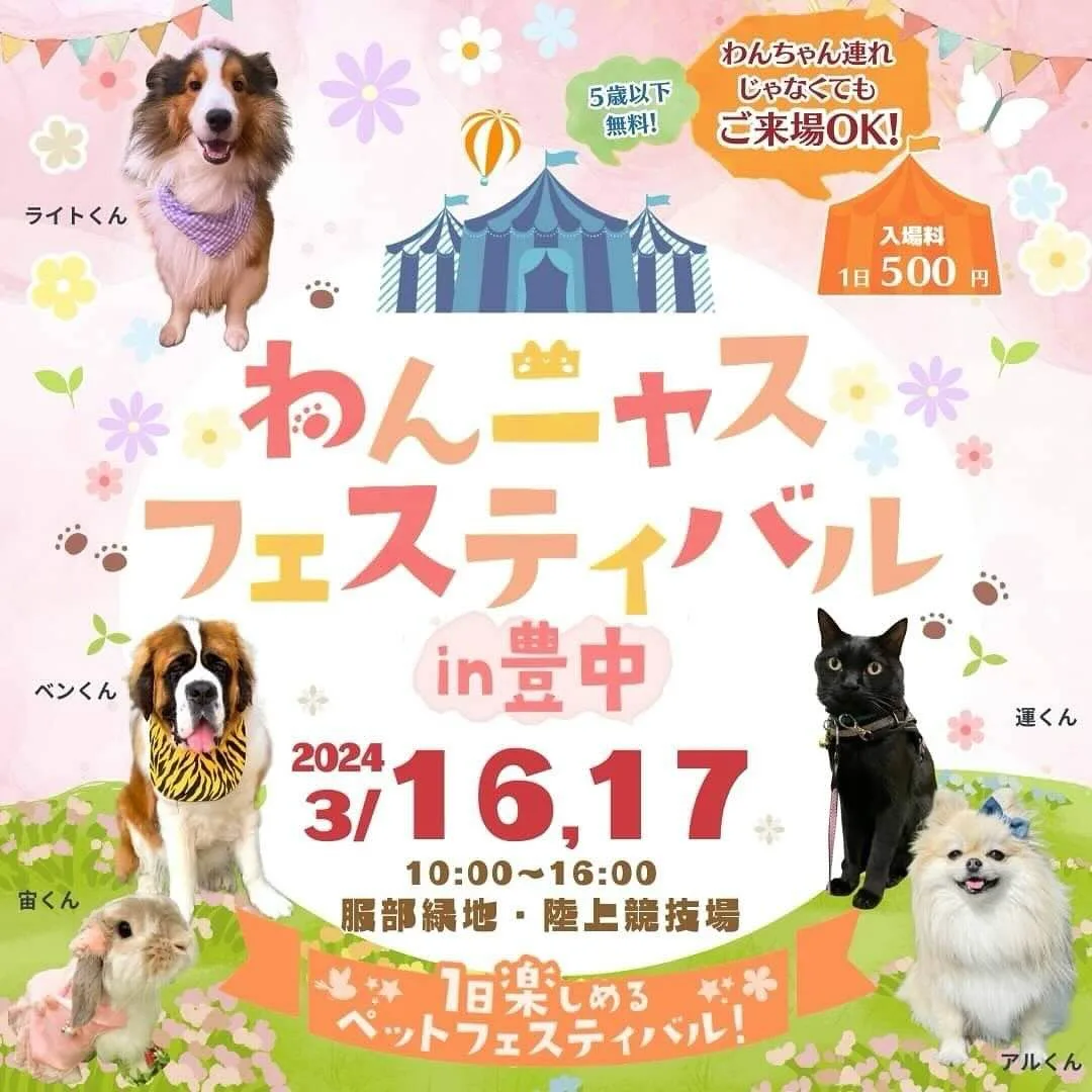 わんニャスフェスティバル in 豊中の画像
