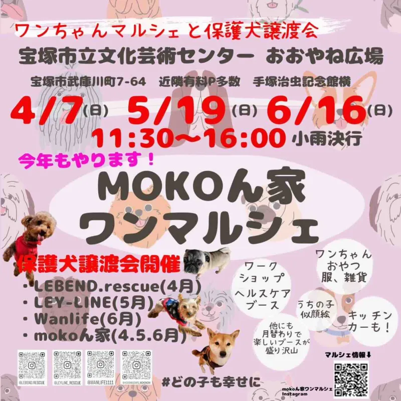 MOKOん家ワンマルシェ＆保護犬譲渡会の画像