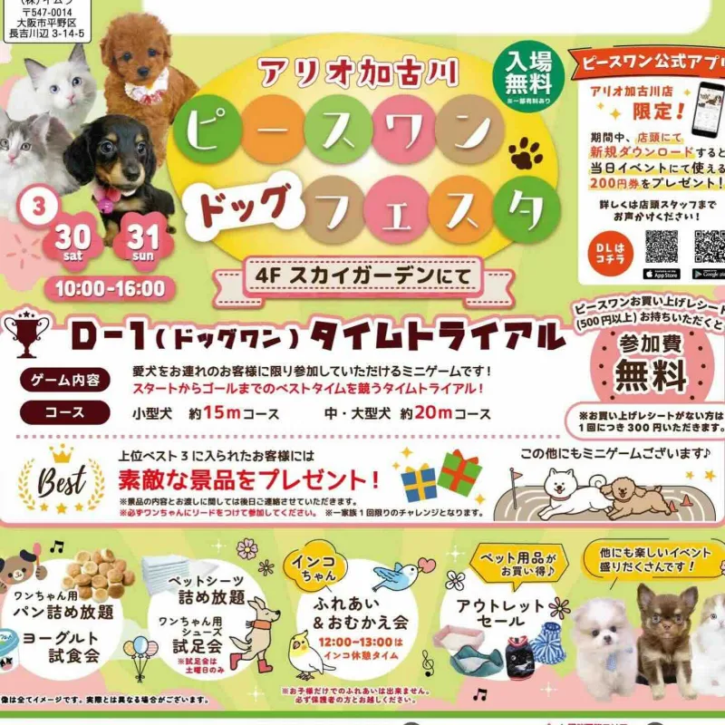 ピースワンドッグフェスタの画像