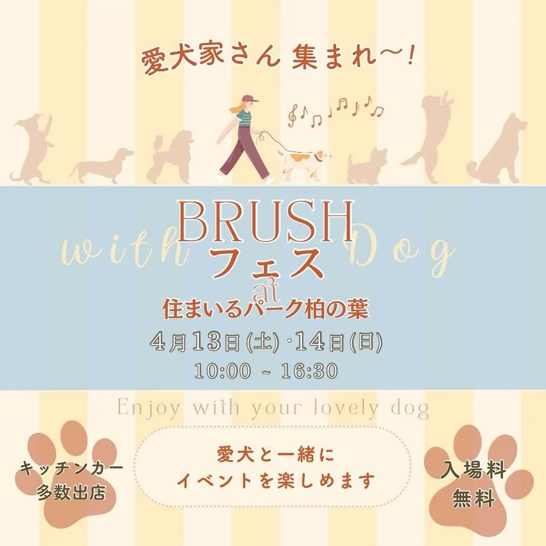 Bursh フェス with dogの画像