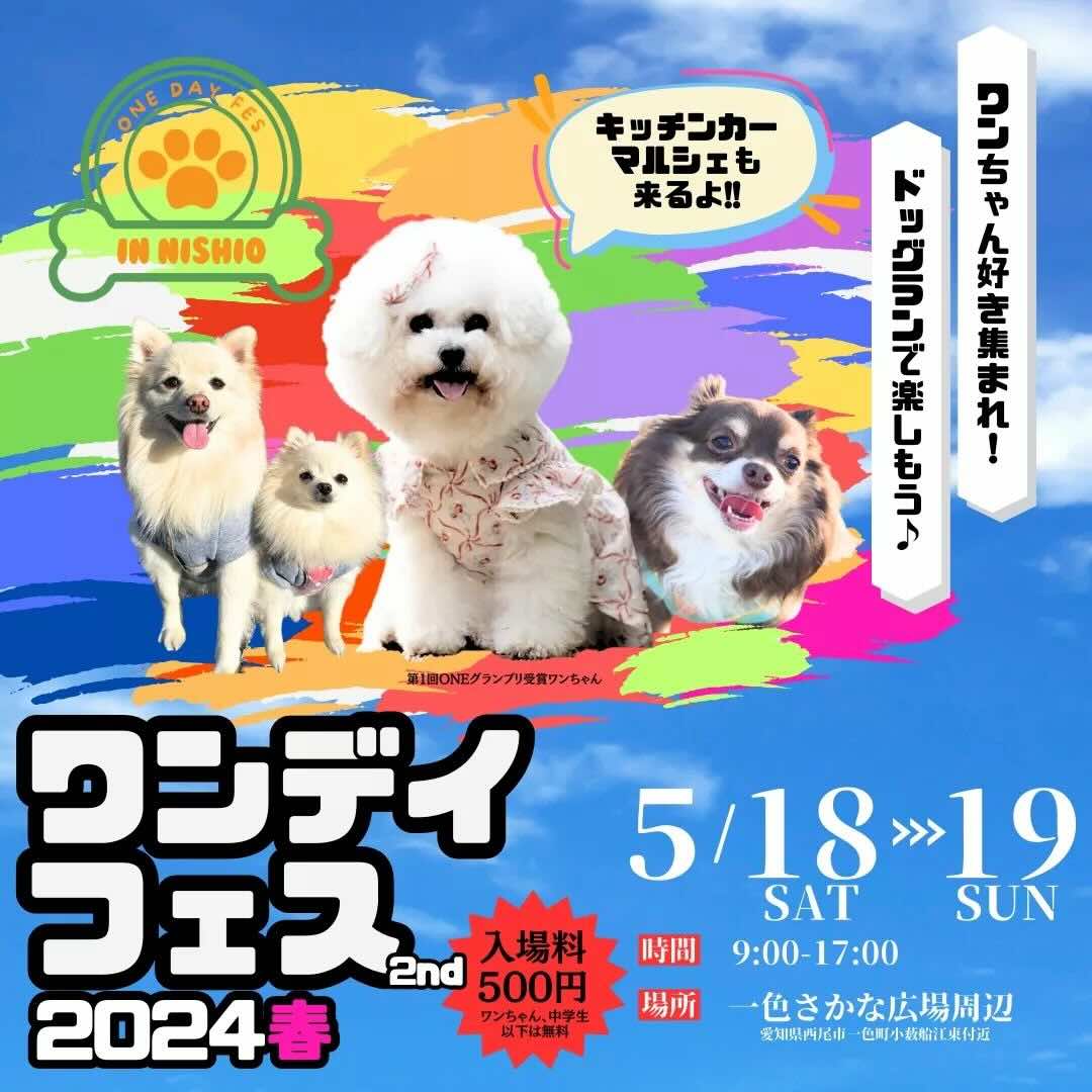 第2回 ワンデイフェスの画像
