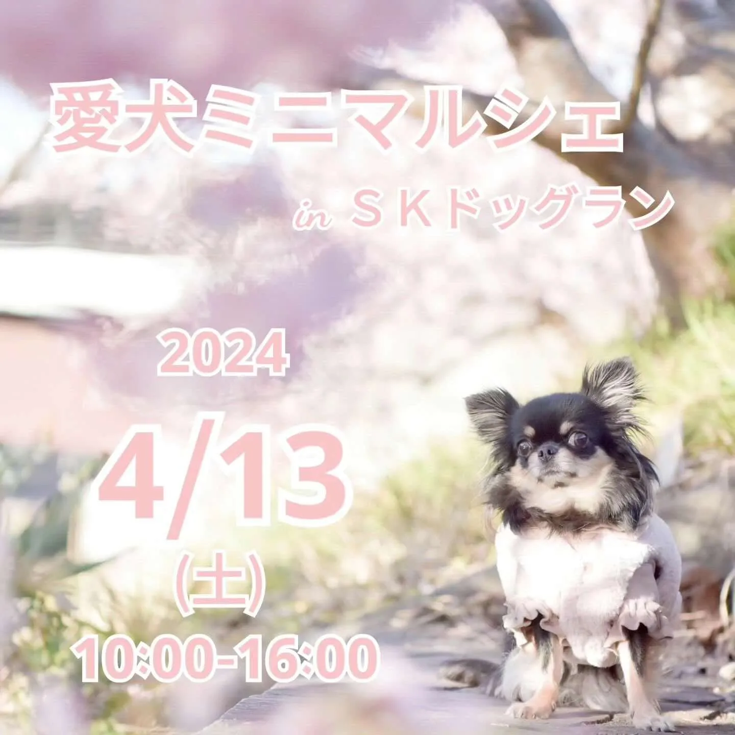 愛犬ミニマルシェ in SKドッグランの画像