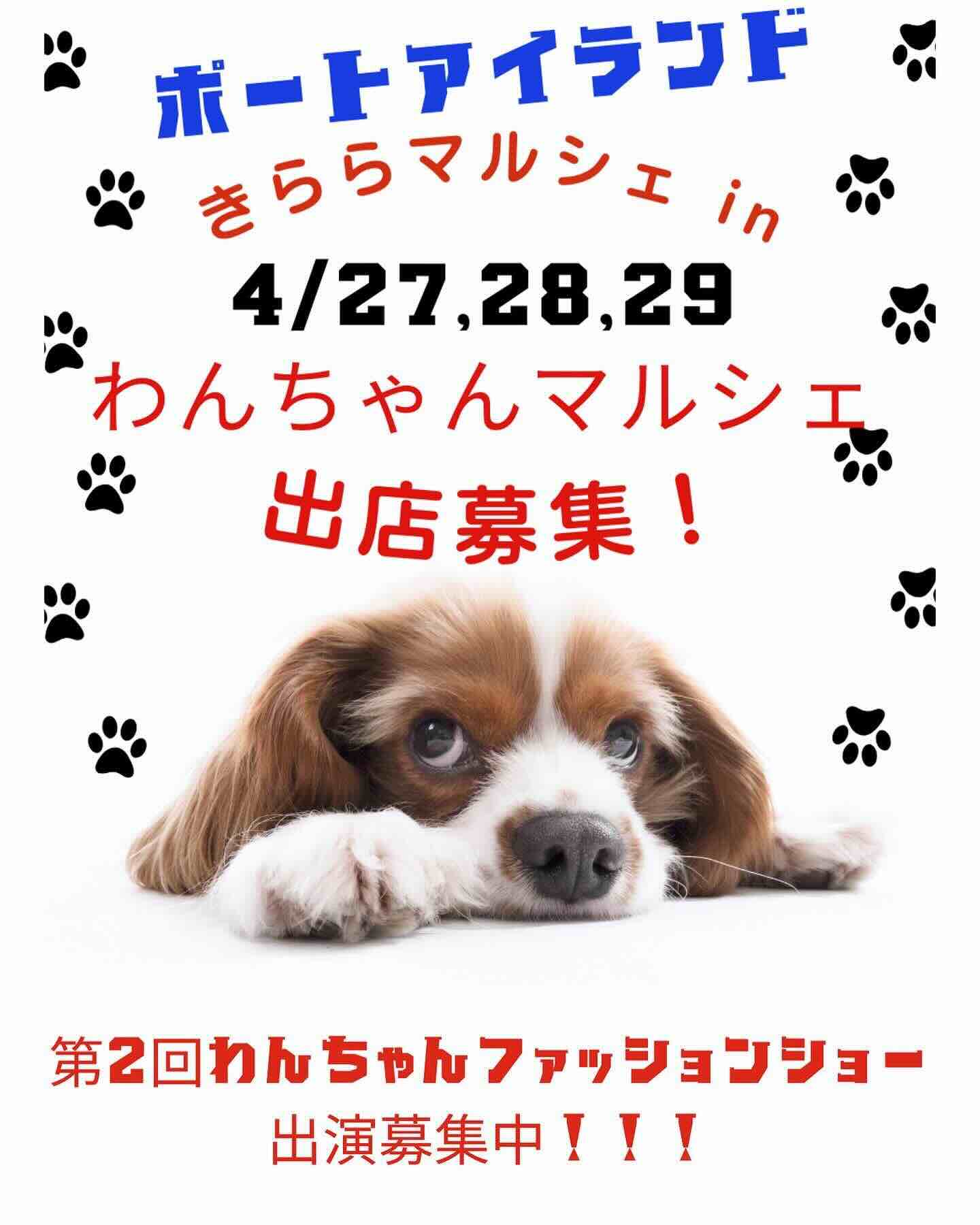 きららマルシェ with わんちゃんマルシェ in ポートアイランドの画像