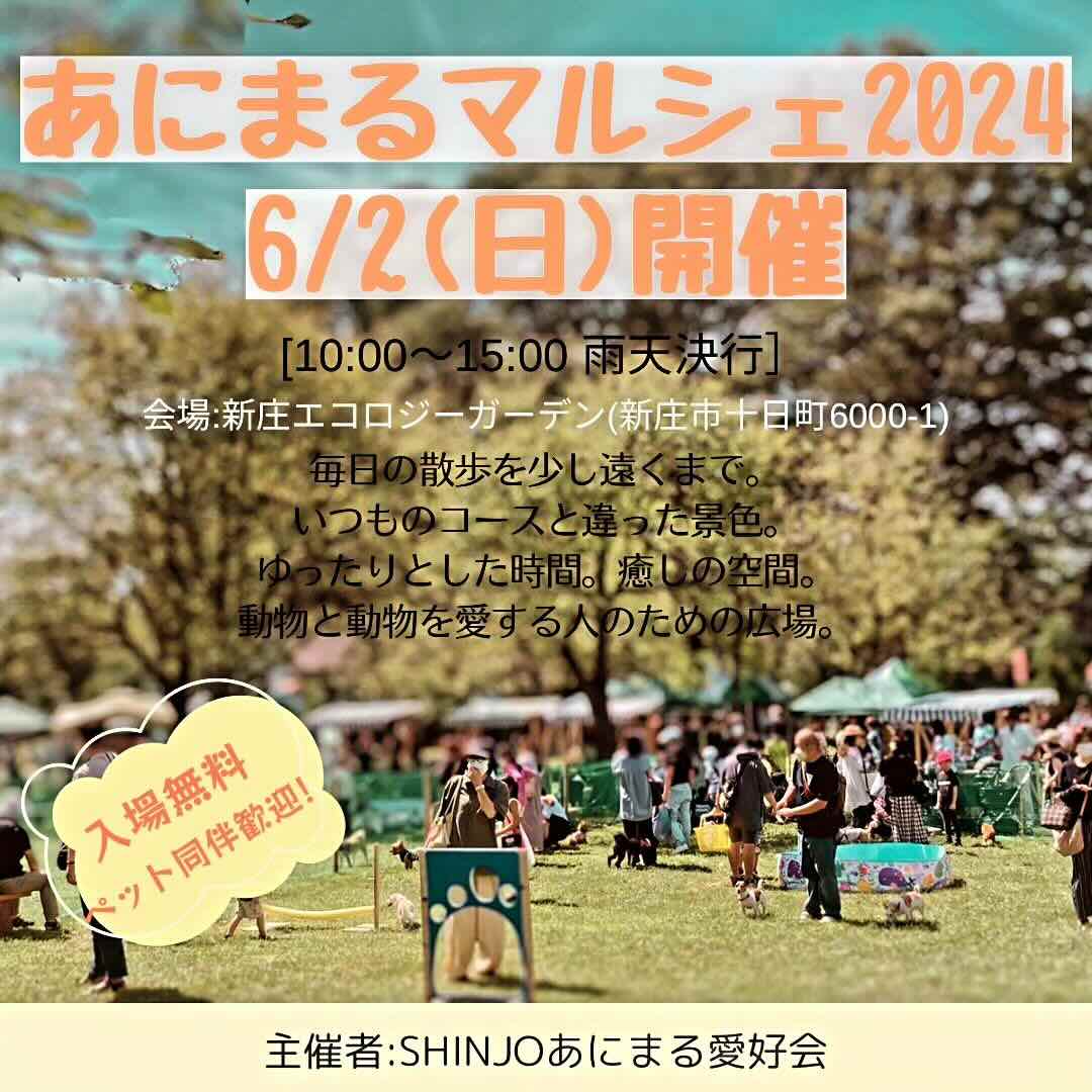 あにまるマルシェin shinjoの画像