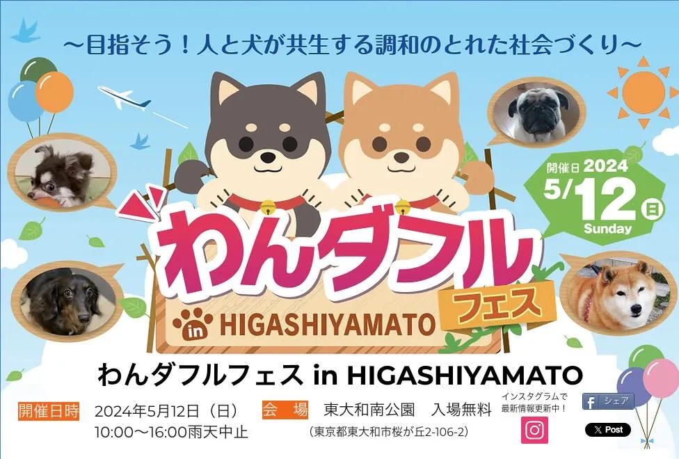 わんダフルフェス in HIGASHIYMATOの画像