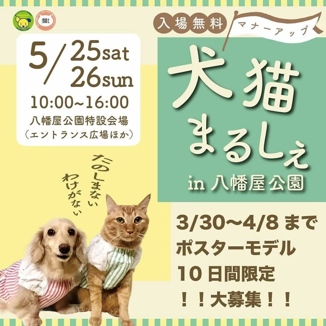 犬猫マナーアップまるしぇin 八幡屋公園の画像