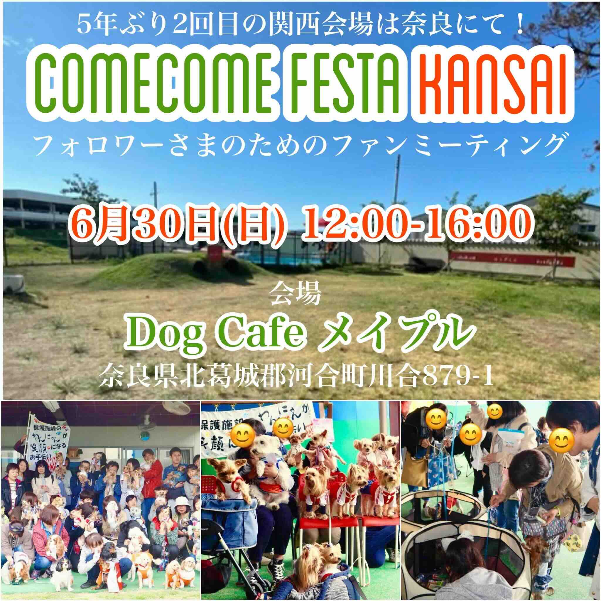 ComeCome Festa 2024 KANSAIの画像