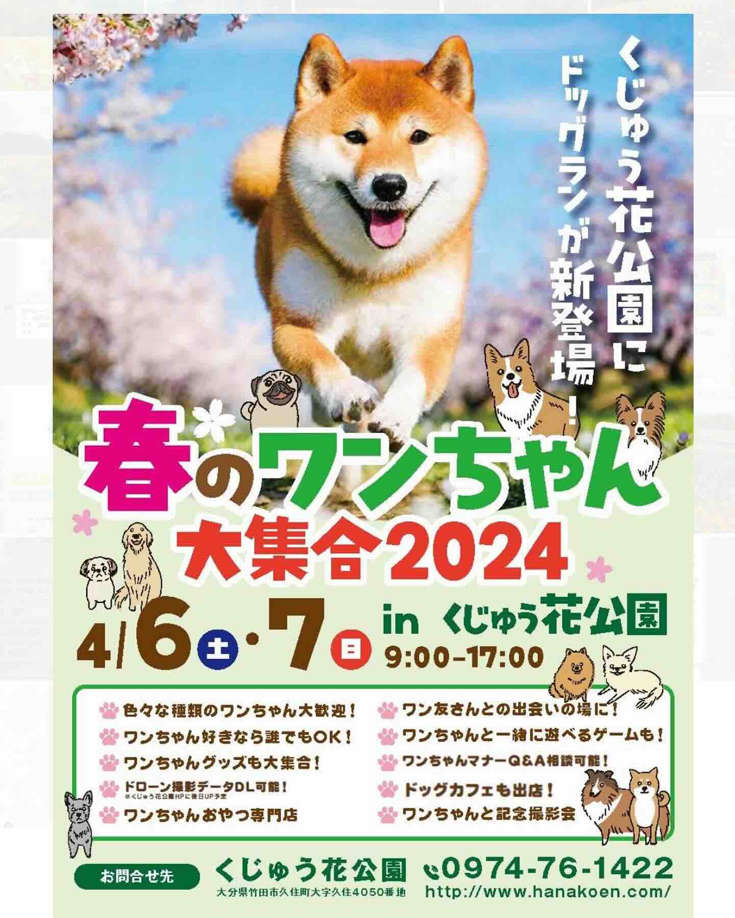 春のワンちゃん大集合2024 inくじゅう花公園の画像
